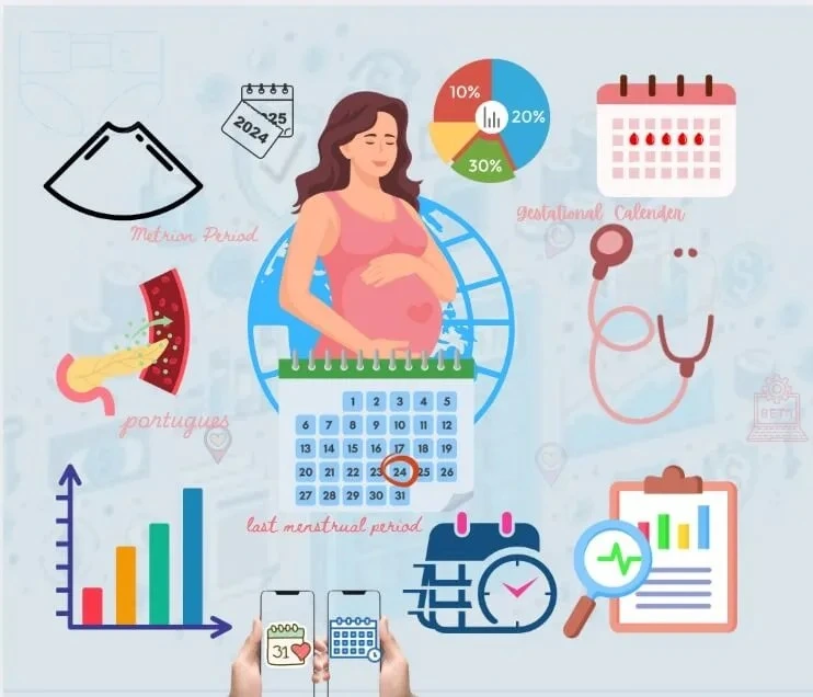Calculadora Gestacional Calculadora Gestacional